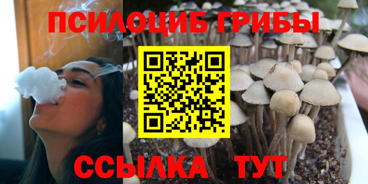 Галлюциногенные грибы Psilocybe  Вход с VPN  Коломна  даркнет сайт  Галлюциногенные грибы MAGIC MUSHROOMS 